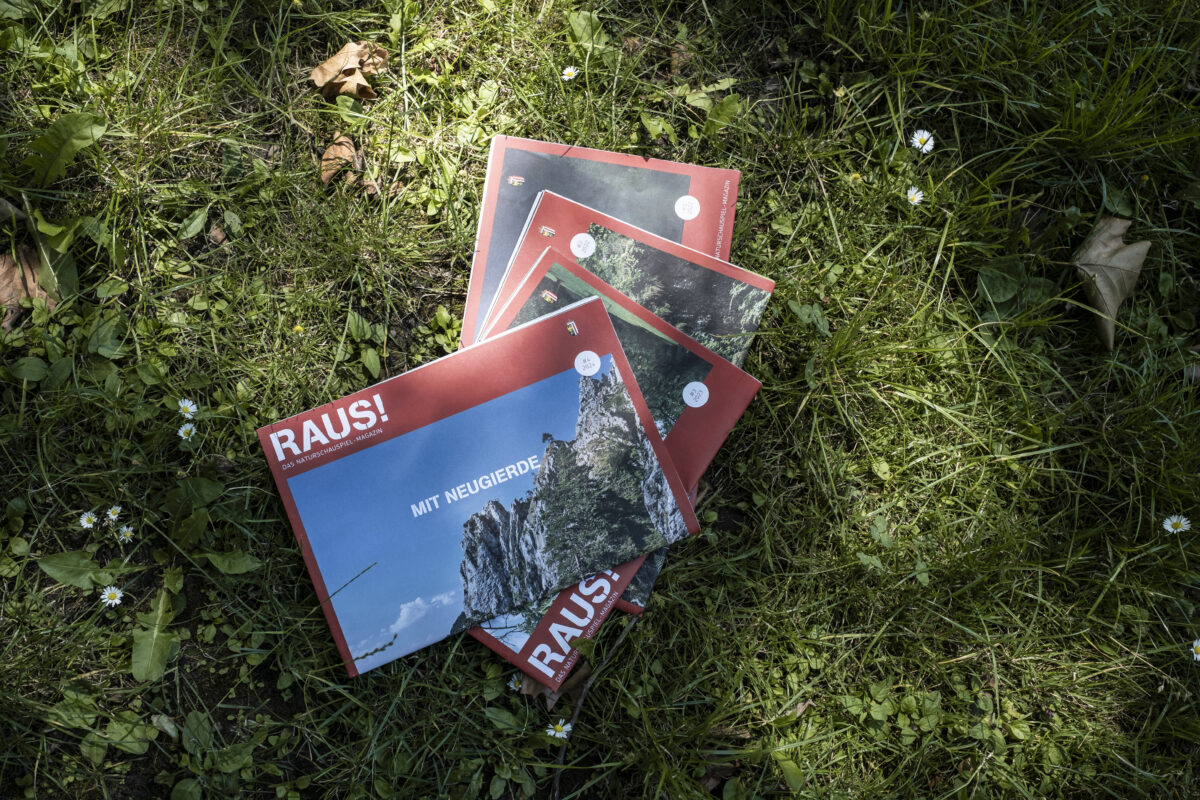 Mehrere RAUS!-Magazine liegen in einer Wiese