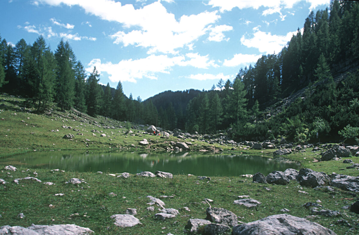 Wiese mit Gesteinsbrocken, in der Mitte der Brunsnteinersee, im Hintergrund Wald