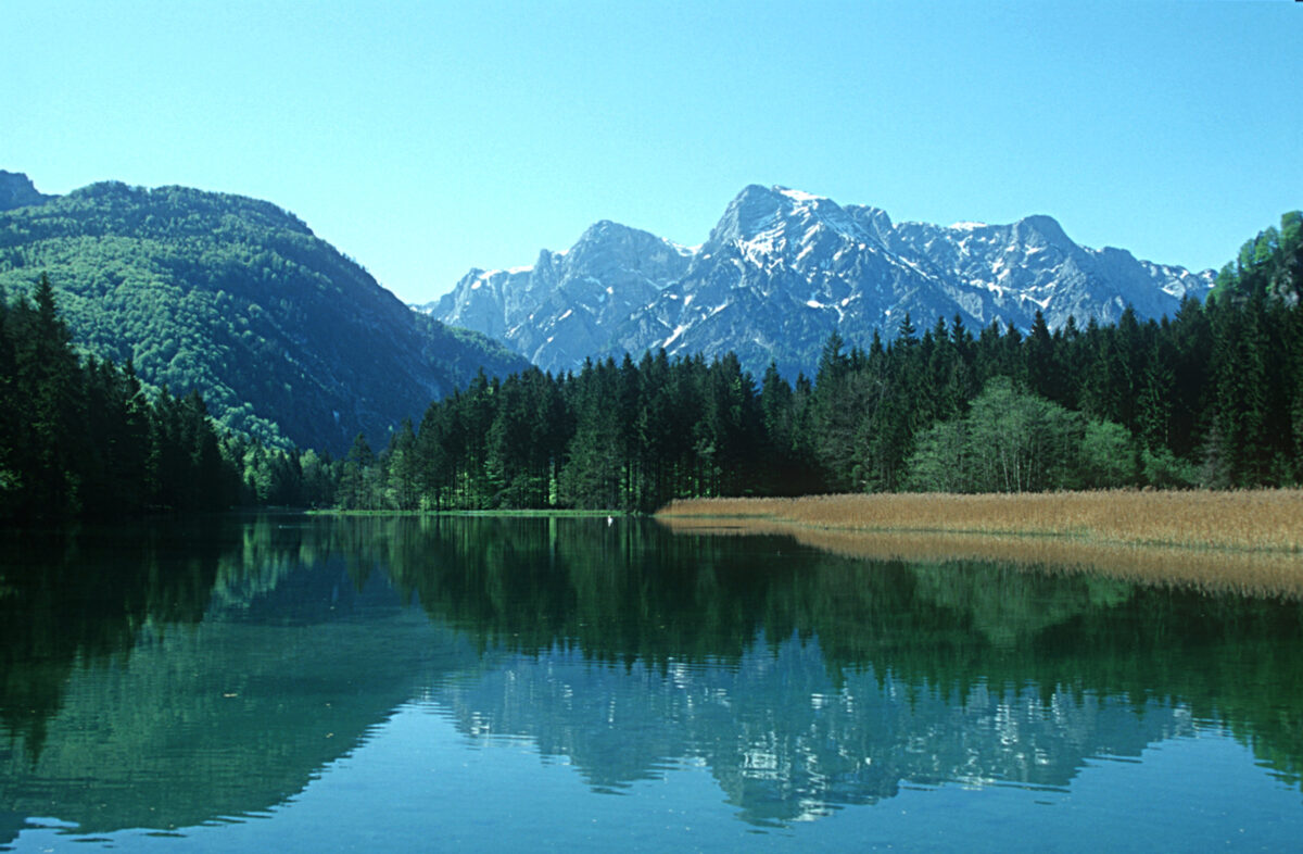 Überblick über den Almsee mit Wäldern links und rechts des Ufers und einem Bergmassiv im Hintergrund