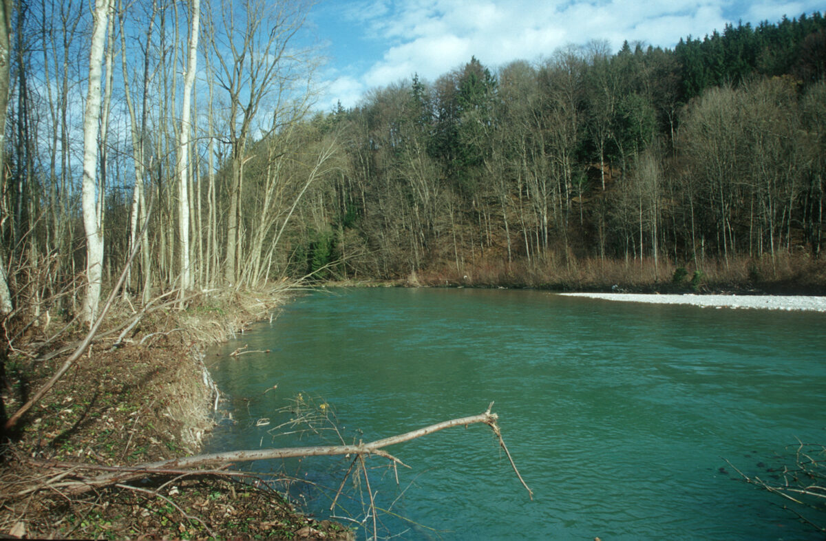 Almfluss