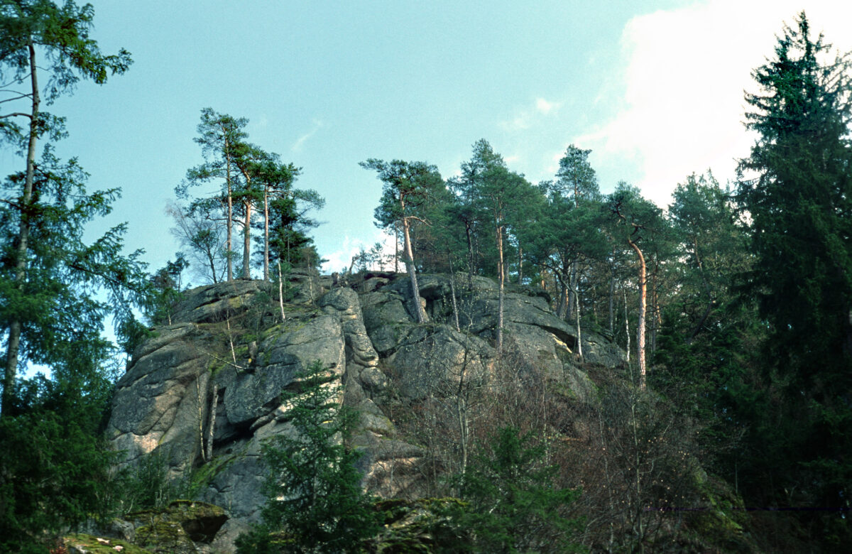Blick von unten auf eine Felskuppe an der Waldaist in Oberösterreich