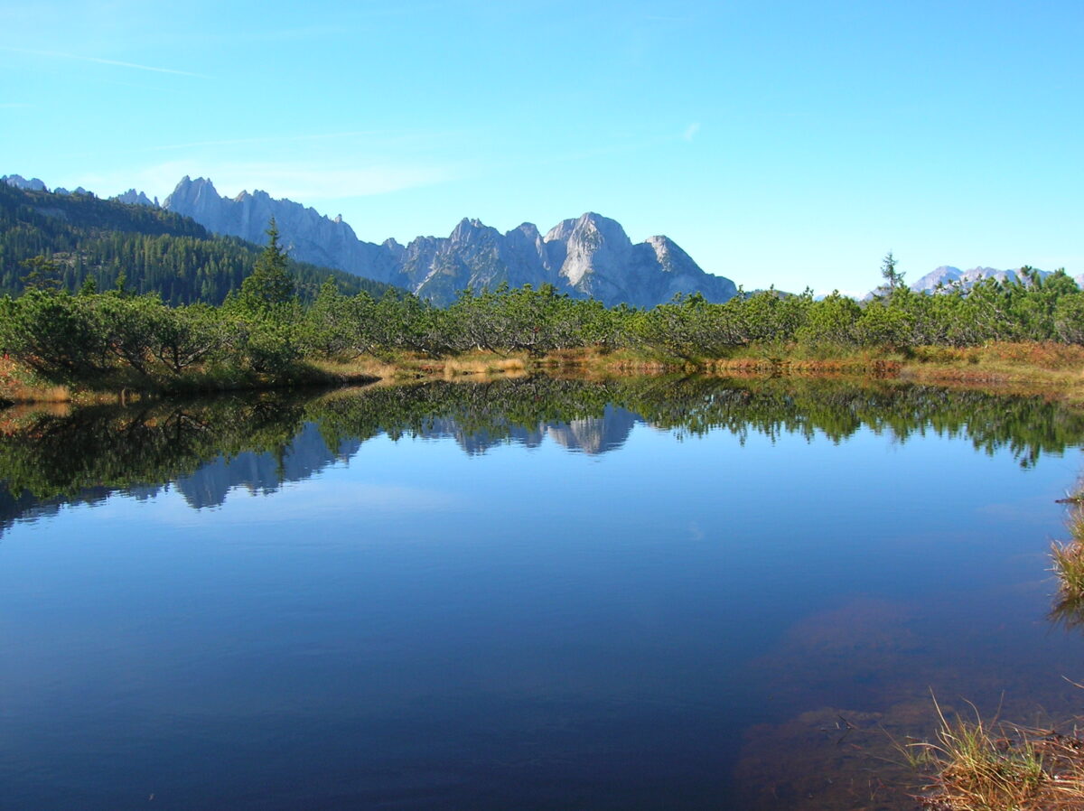 Spiegelglatte blaue Oberfläche des Löckersee, in dem sich Umgebung spiegel
