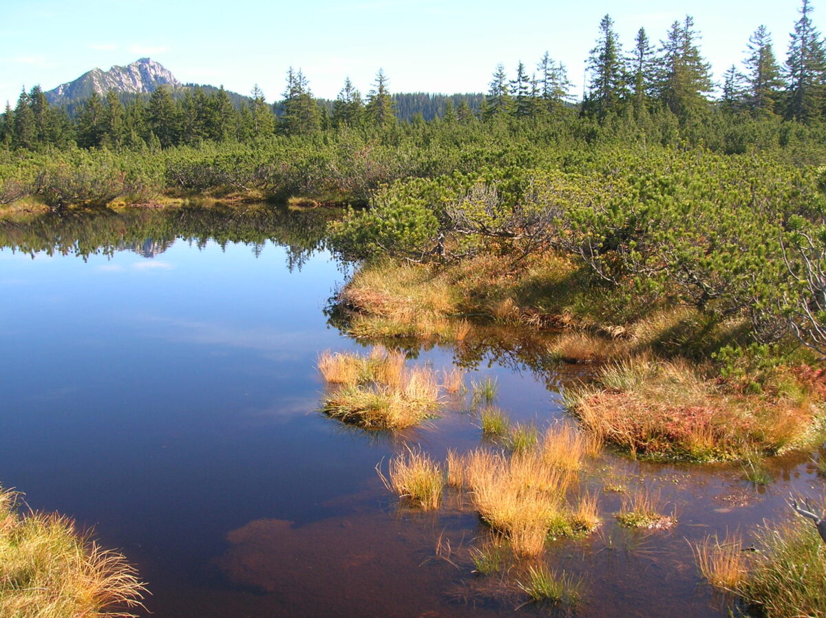 Im Vordergrund der dunkelblaue Läckersee, dahinter das Deckenmoor des Großen Löckermoos