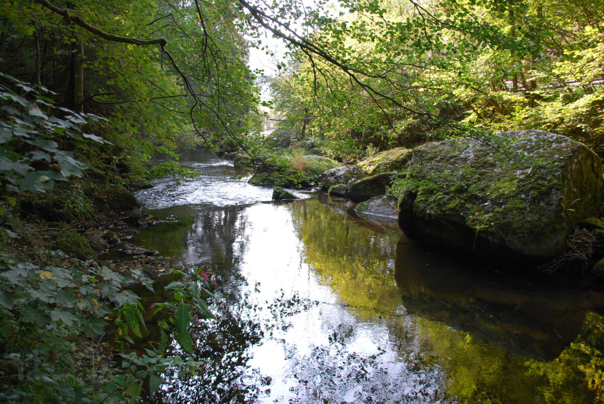 Kleiner Bachlauf im Naarntal, rechts große Gesteinsbrocken im Wasser, links bewaldetes Ufer