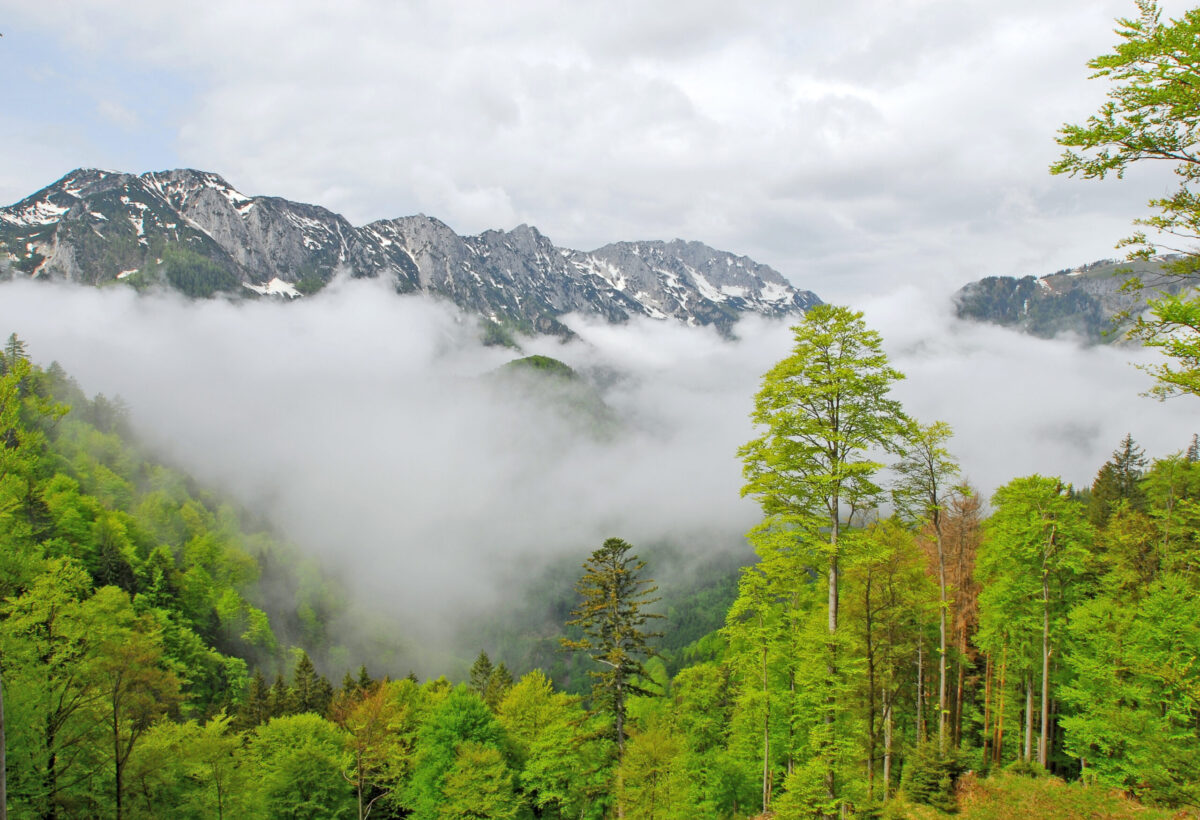 Nationalpark Kalkalpen