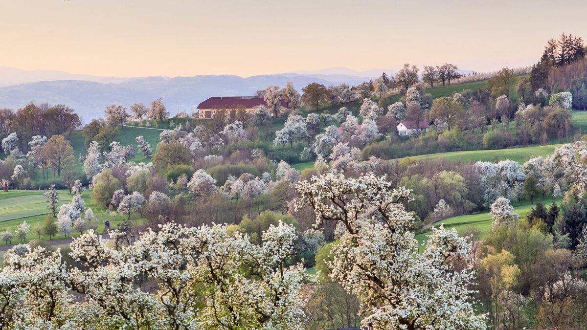 Naturpark Obst-Hügelland