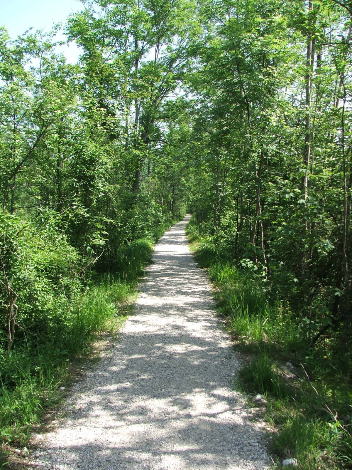Geschotterter Weg am Almdamm