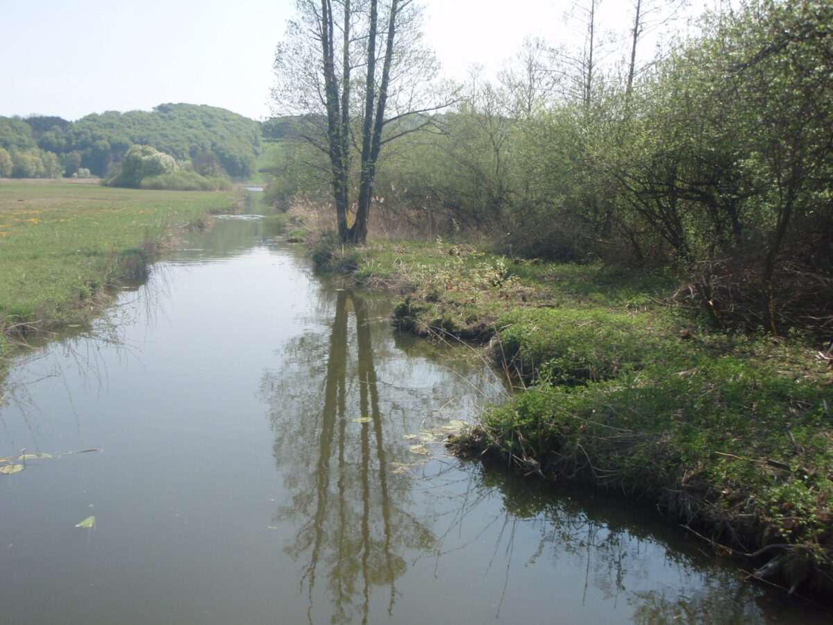 Blick auf einen Wasserlauf, auf der rechten Seite Gebüsch, links eine Wiese, im Hintergrund bewaldeter Hügel im Pfeiferanger im Ibmer Moor