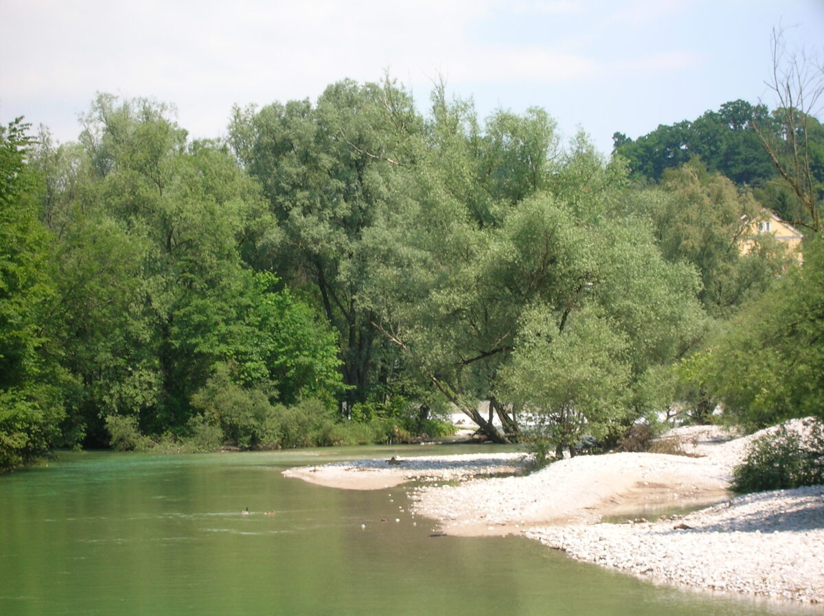 Grünliches Wasser des Steyr-Flusses mit einer breiten Schotterbank auf der rechten Site und einem Wald im Hintergrund
