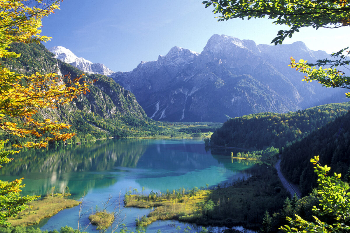 Almsee