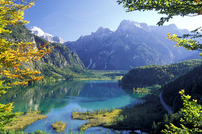 Almsee