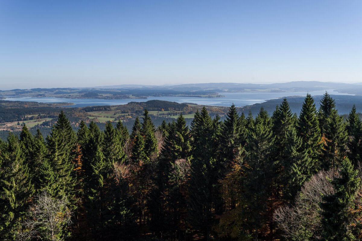 Böhmerwald