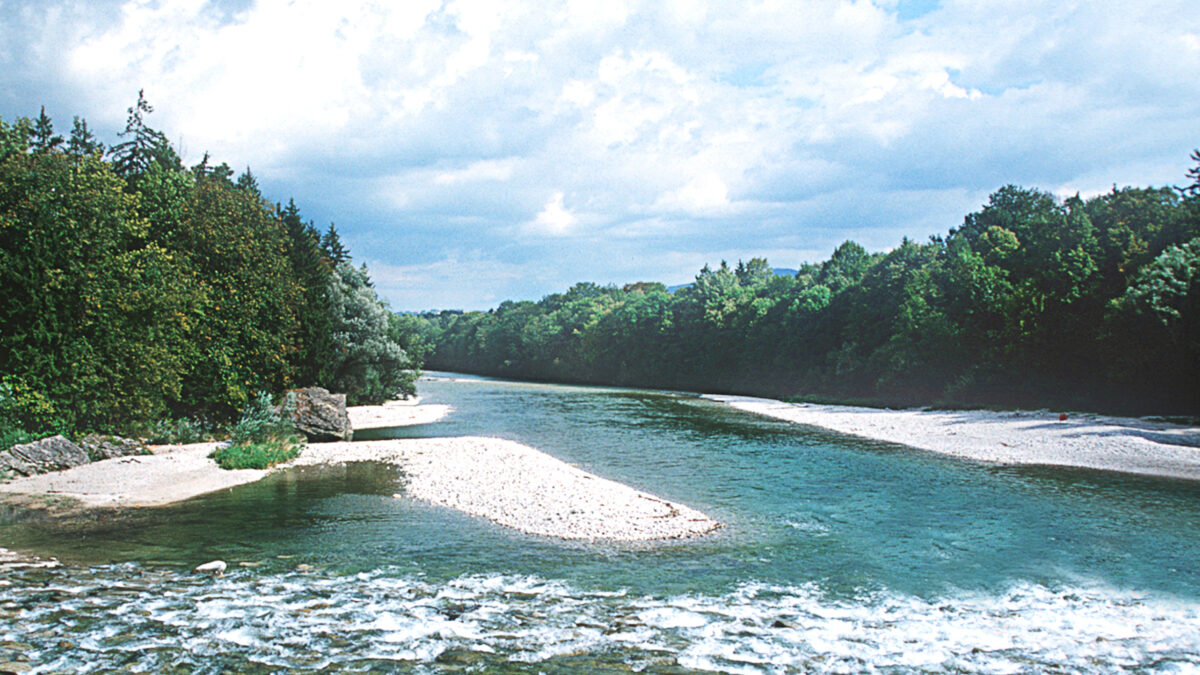 Blick auf die Untere Steyr, Schotterbänke am linken und rechten Ufer, ebenso Wald an beiden Seiten, im Vordergrund leichtes Gefälle des Wassers über Steine