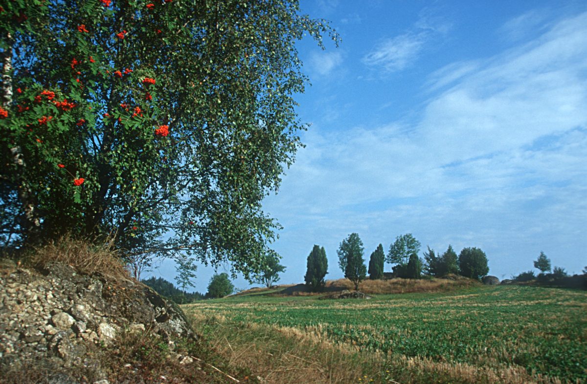 Die Pammerhöhe in Rechberg im Naturpark Mühlviertel
